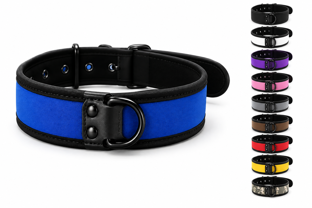 Wide Neoprene Color Collar with D-Ring 9 colors