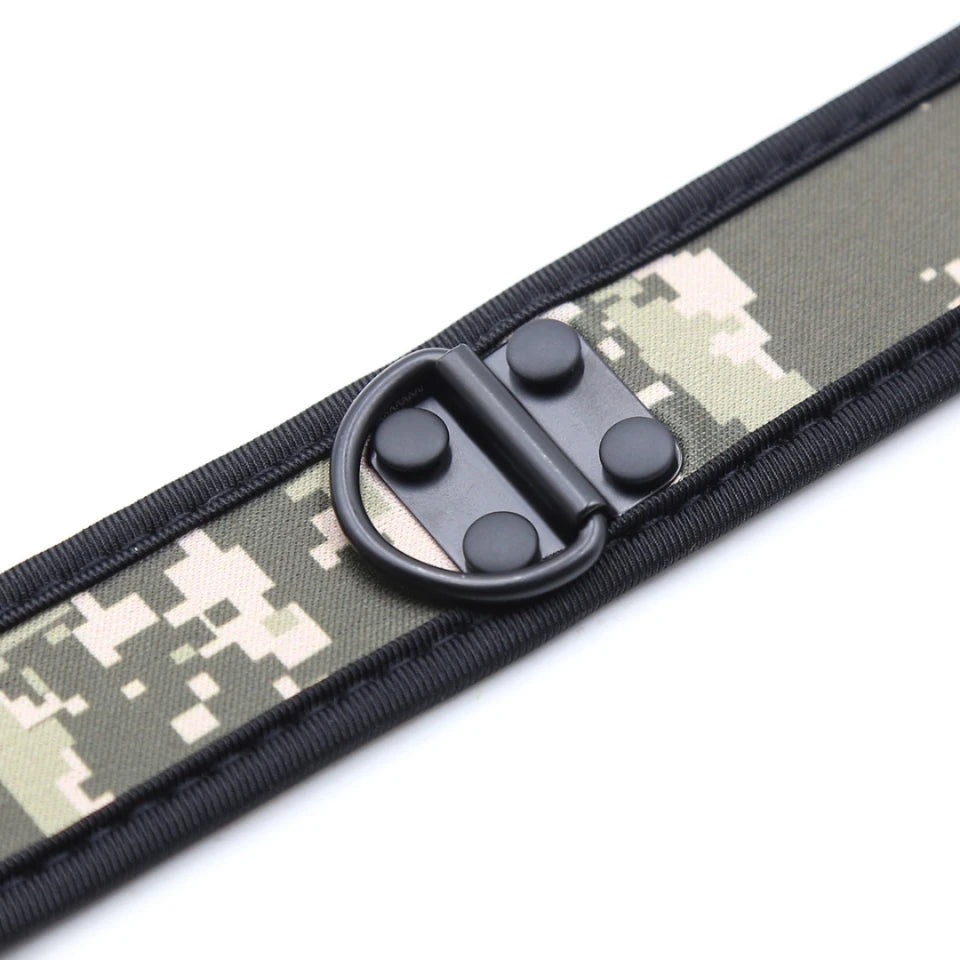 Wide Neoprene Color Collar with D-Ring 9 colors