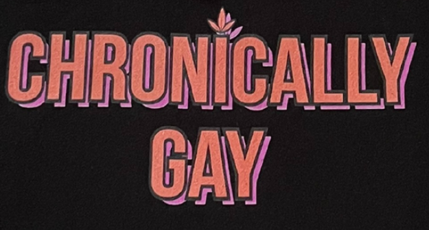 Stylized “CHRONICALLY GAY” text in pink-to-red gradient on black background with decorative flame icon